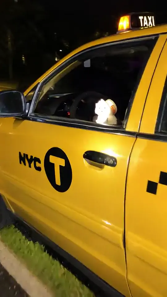 The taxi
