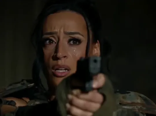 The gun